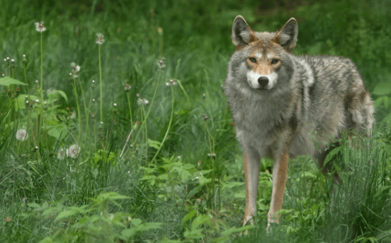 Снимок экрана20180629013427