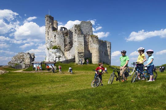 SzlakOrlichGniazd_540_360|olsztyn-768x516|mirow-768x517|DCIM100MEDIADJI_0067.JPG|Оgorodzienec|rabsztyn-768x576|288657|SOG2|5722a825f124a_o