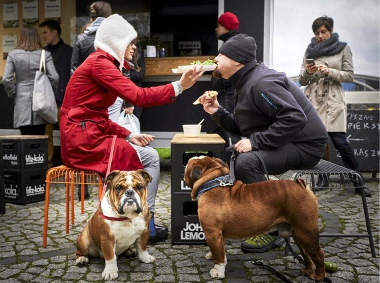 "Przystanek Śniadanie" (Breakfast Stop) in the Silesian Insurgents Park in Katowice, photo: Grigory Celewski / AG